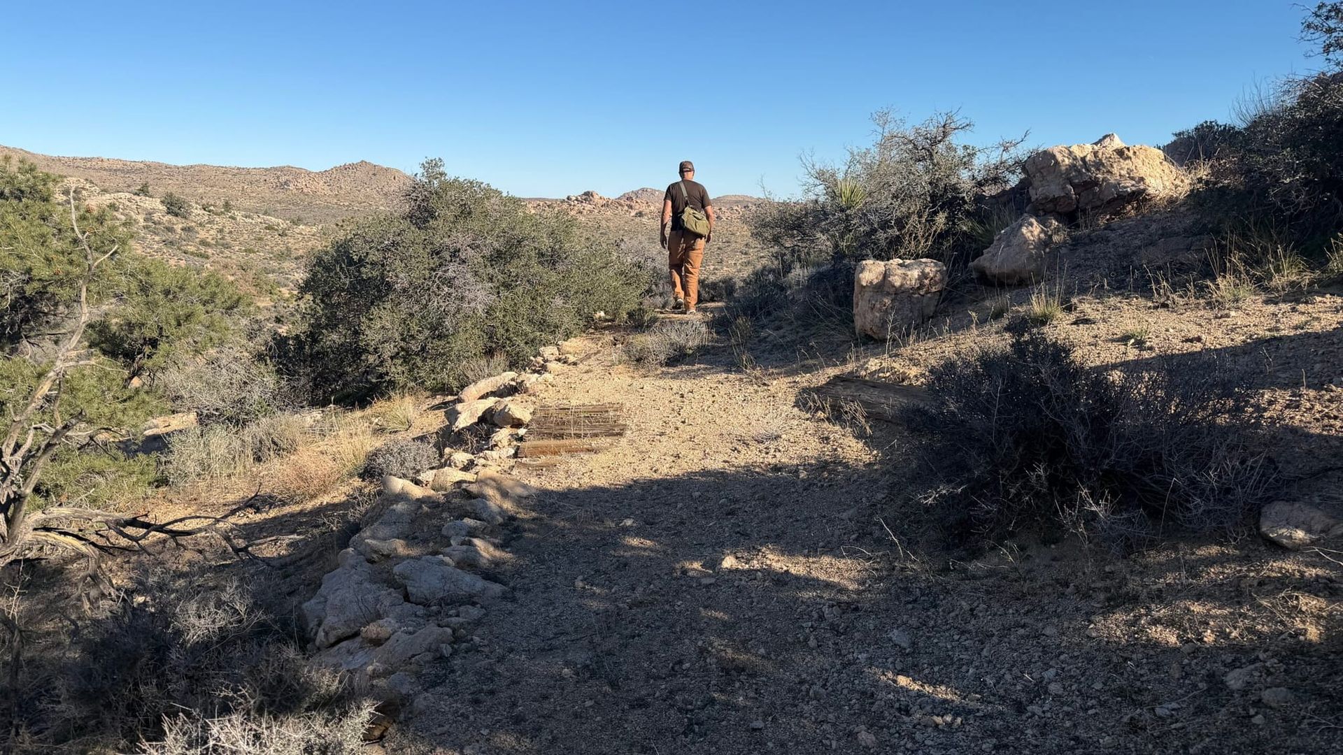 How to Have the Perfect Week