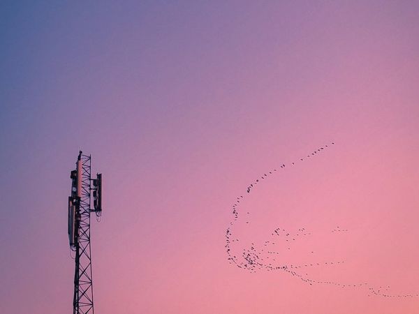 AI promises, rebound promises and take-outs