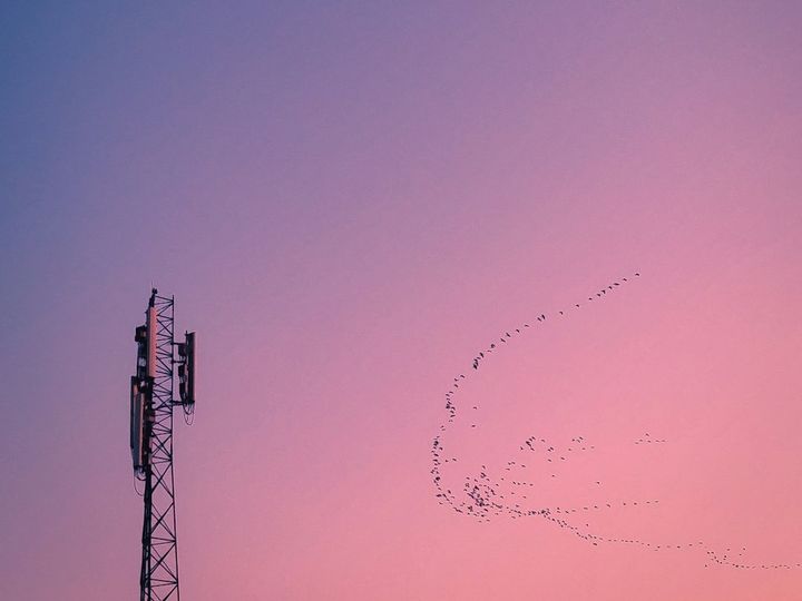 AI promises, rebound promises and take-outs