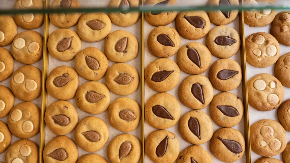 Specialty chems, hospitals and troubled bakeries