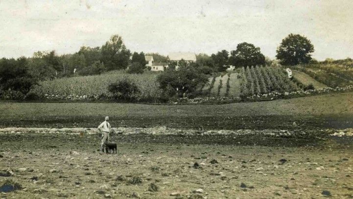 The Forgotten Taste of Cider