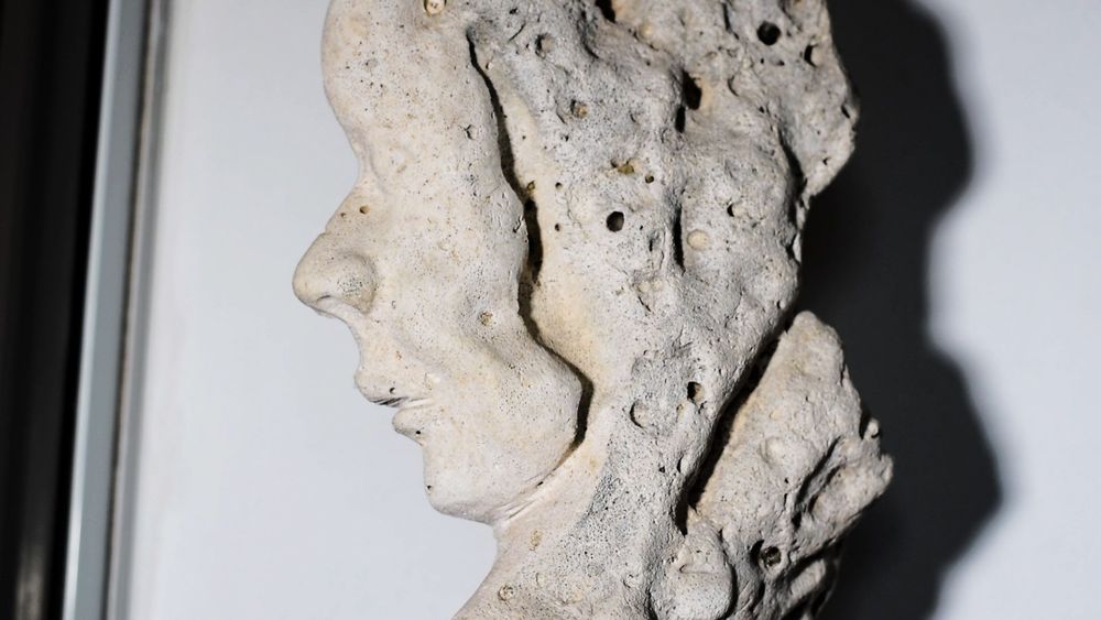 Perfil lateral de una escultura en piedra con rostro pulido y textura porosa en la parte posterior.