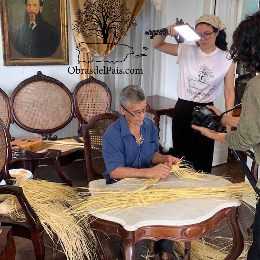Cogollo de palma de Yarey siendo preparado para obtener la fibra utilizada en una pava