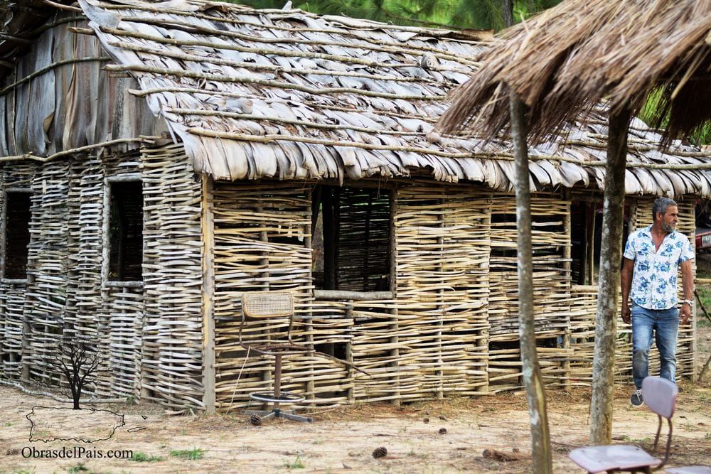 Casa construida mediante técnicas de cestería por Edwin Marcucci
