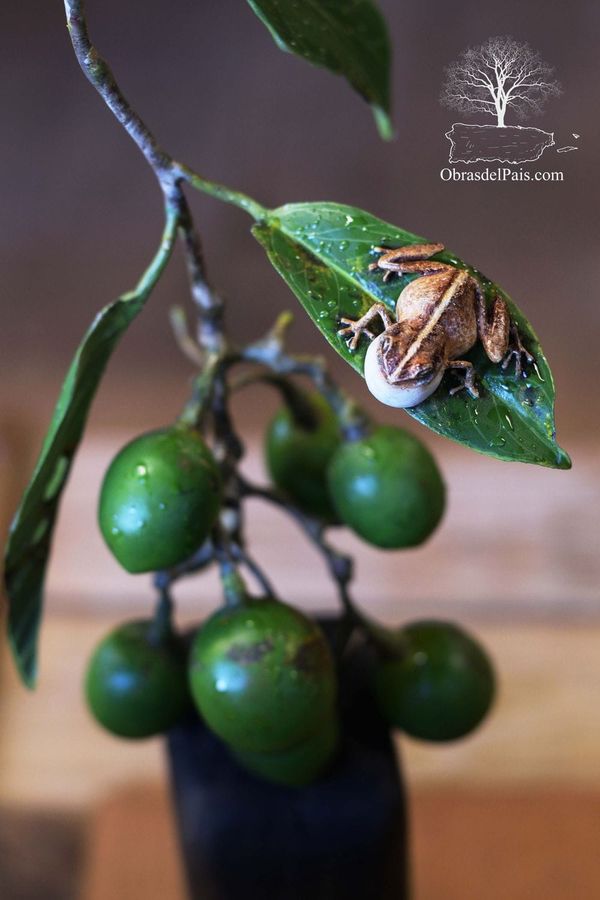 Pieza de Antonio Nieves inspirada en la fauna y flora de Puerto Rico