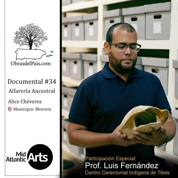 Prof. Luis E. Fernández Ramírez durante su participación en el documental