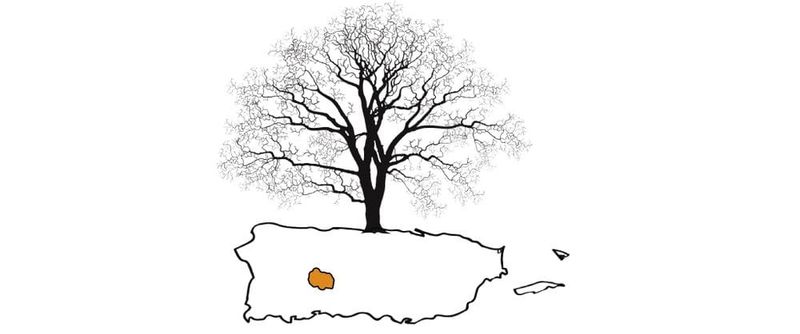 Mapa de Puerto Rico con el municipio de Adjuntas destacado