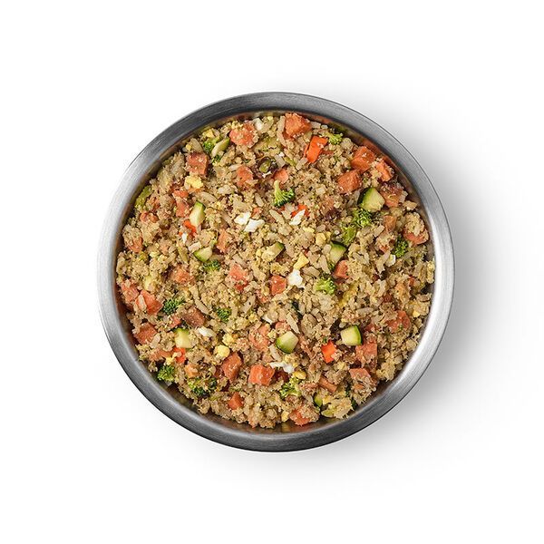 강아지는 채식을 할 수 있을까? (전편)