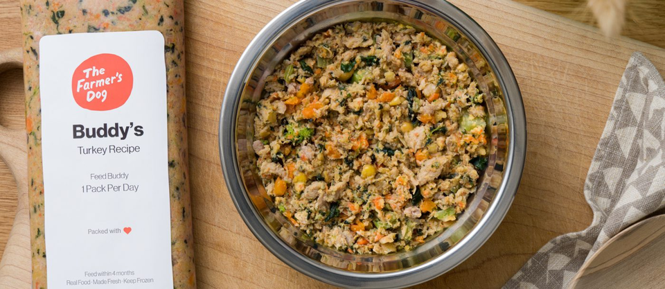 화식 사료가 뭐지? - 1 (개요)