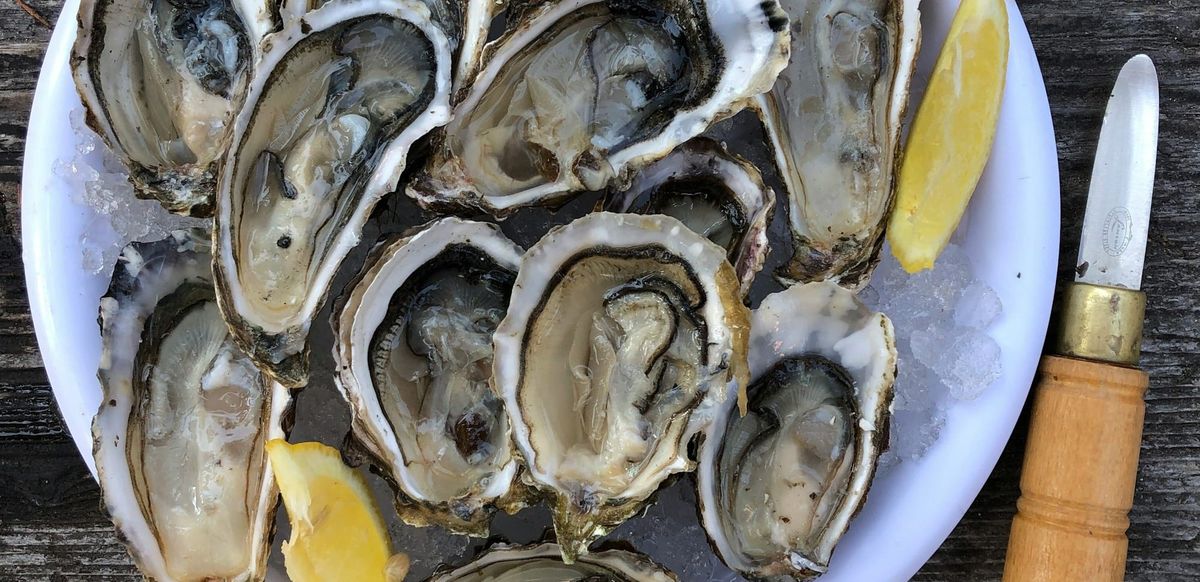 Et ils sont là ! Rendez-vous ce dimanche