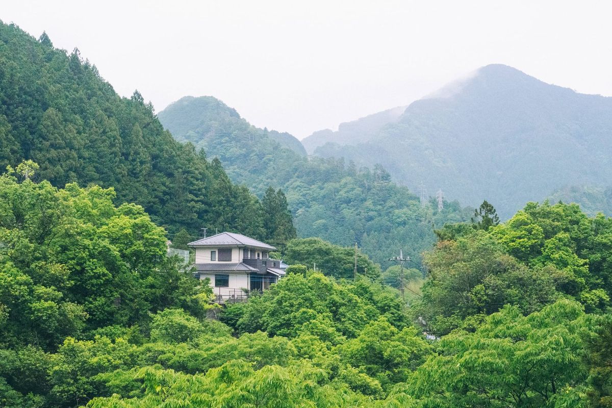 分享 12 本好书：2025 年读过的高分书单