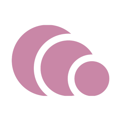 Bizmudra