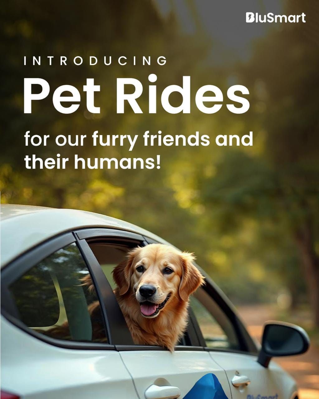BluSmart launches ‘Pet Rides’