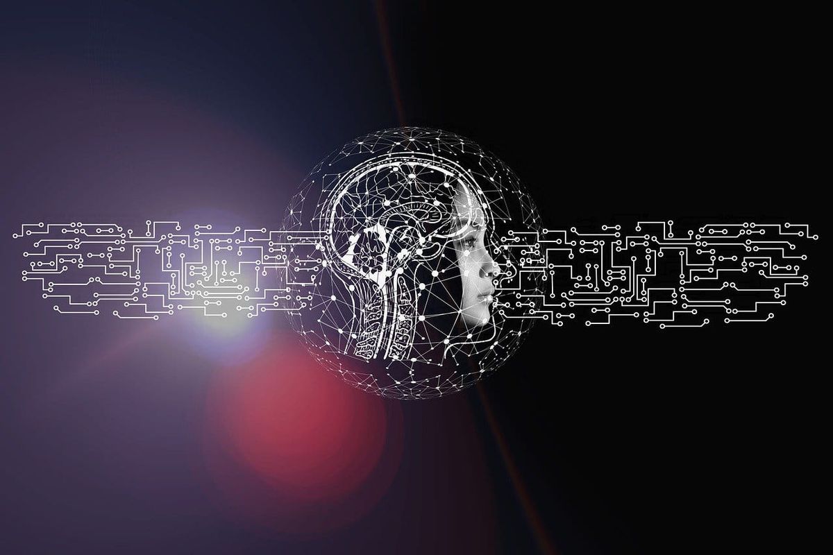Organisations are increasing their AI investments