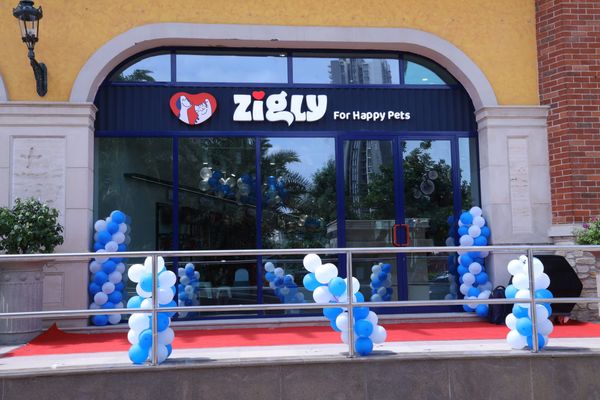 Zigly Unveils Zigly+
