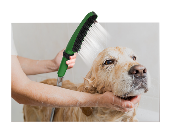 Indulge Your Furry Friends with Hindware Italian Collection Shower