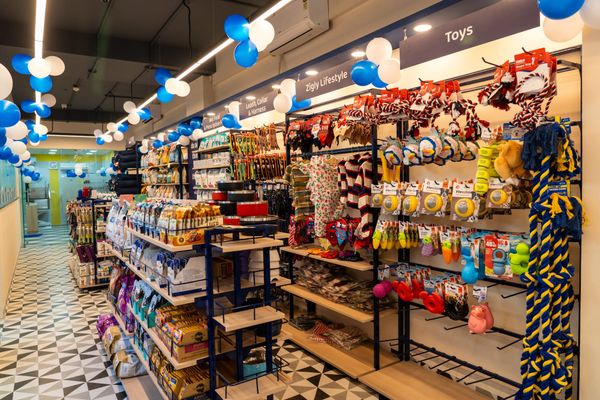 Pet Care Brand Zigly Hosts Special Appreciation Event on World Veterinary Day