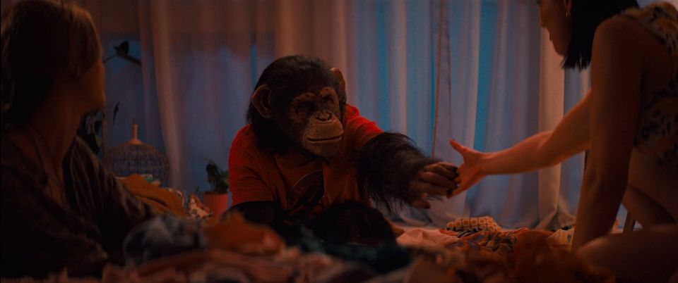 How do I write this genre?