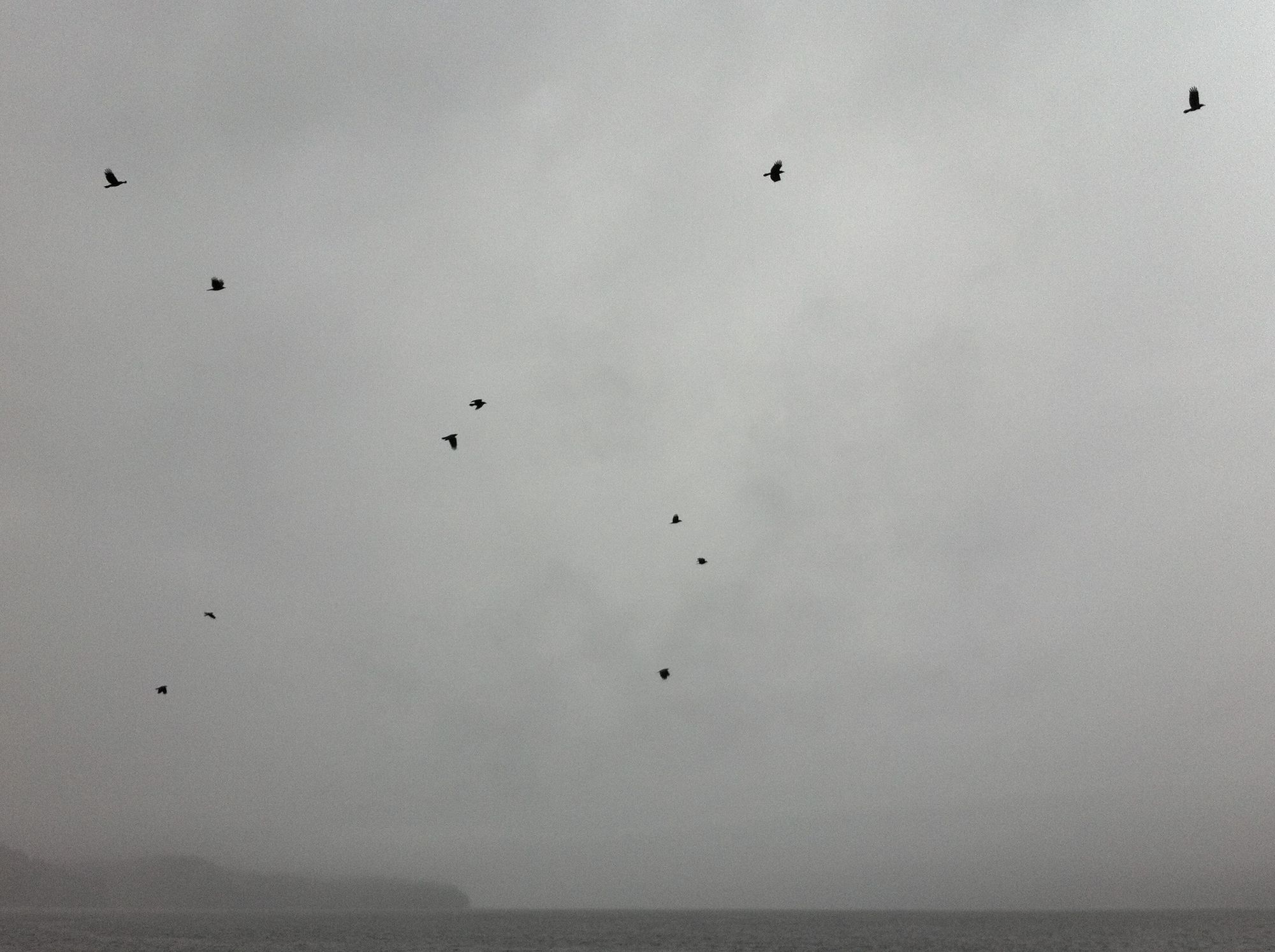 Using Liberating Structures to facilitate continuous improvement