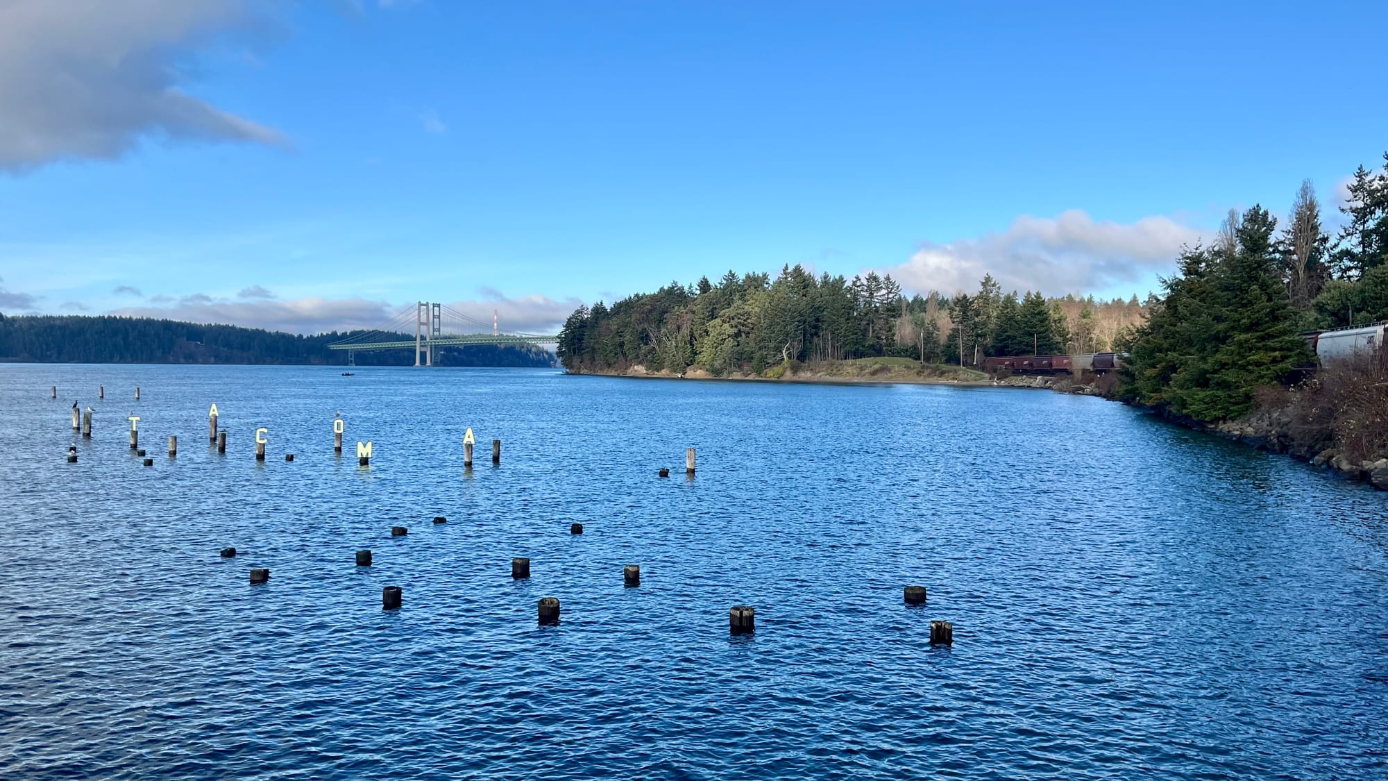 Monthly links & notes for January 2024