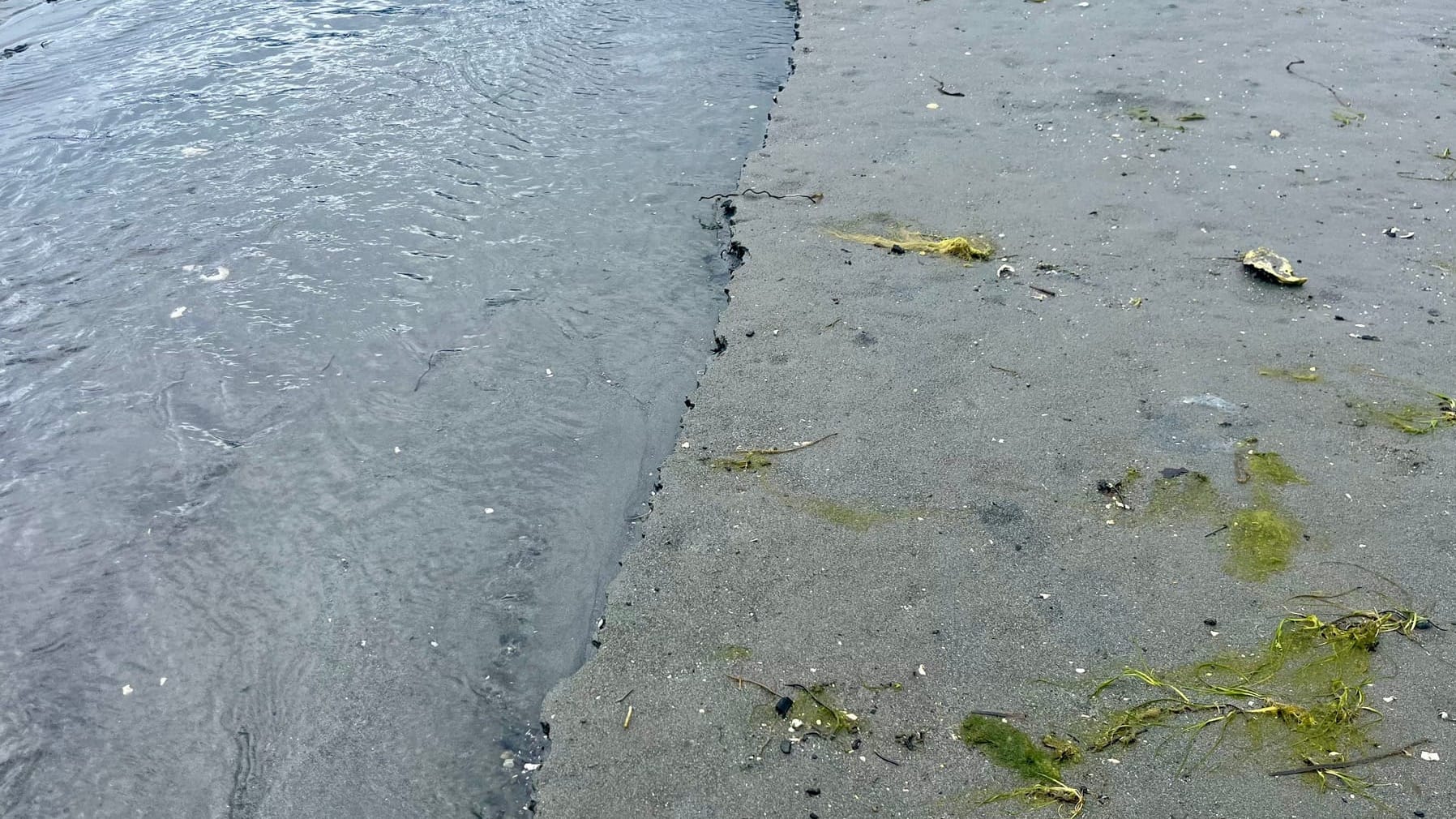 At low tide, exposed bracky sand dries in the sun to the right side of the photo, with a creek on the le