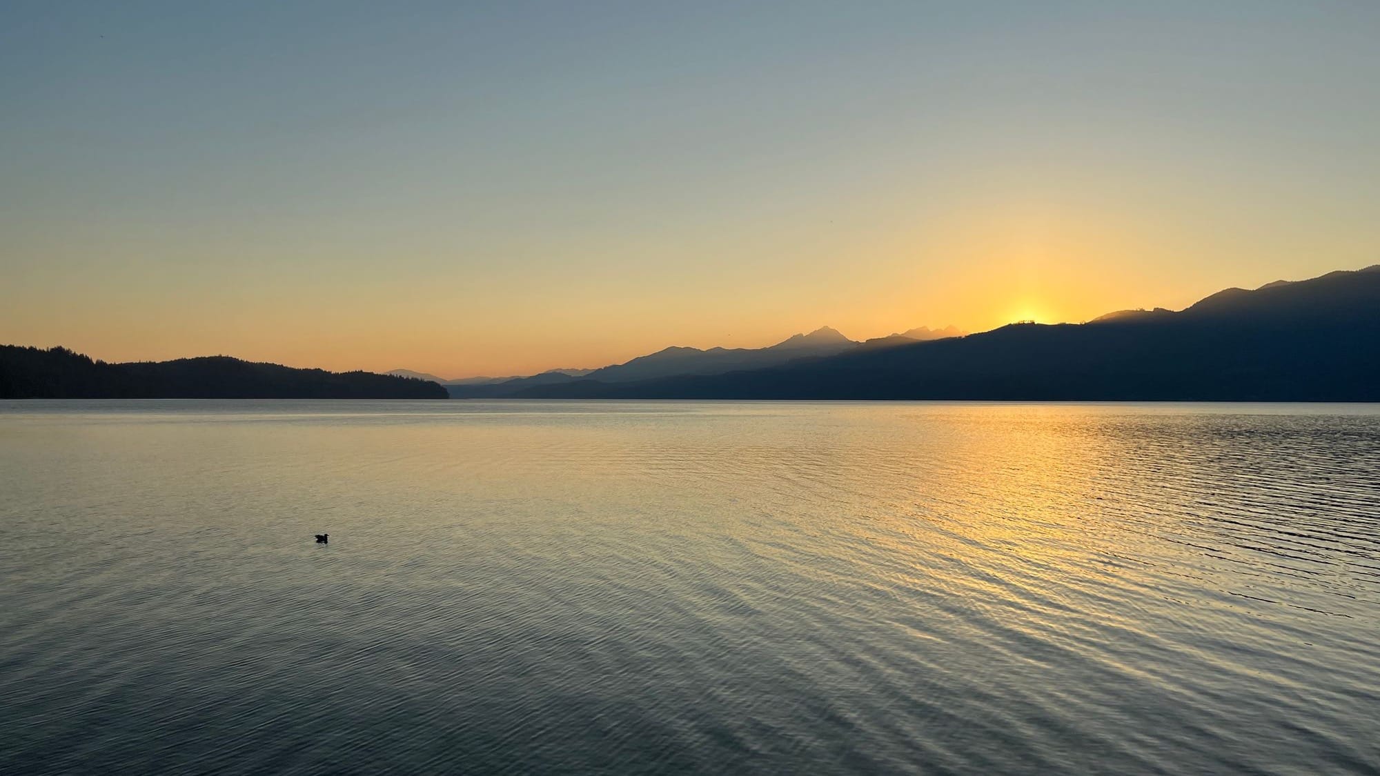 Open space technology, principle 2: “Whatever happens is the only thing that could have”