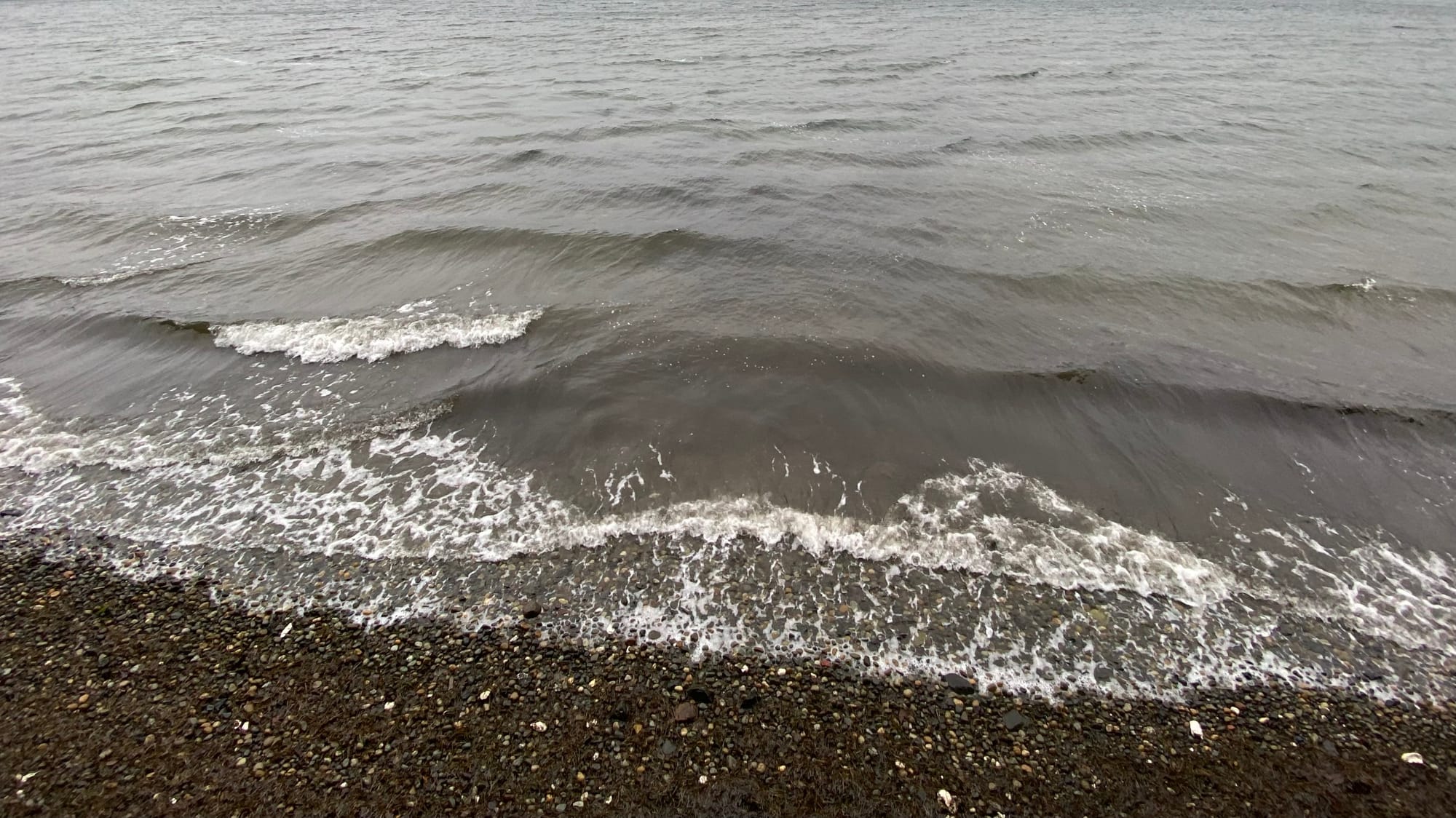 Tide coming in on a cold December afternoon.