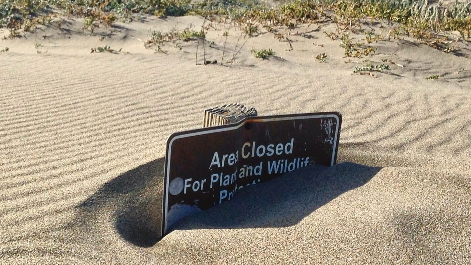 A sign reading “Area Closed for Plant and Wildlife Protection”. 
