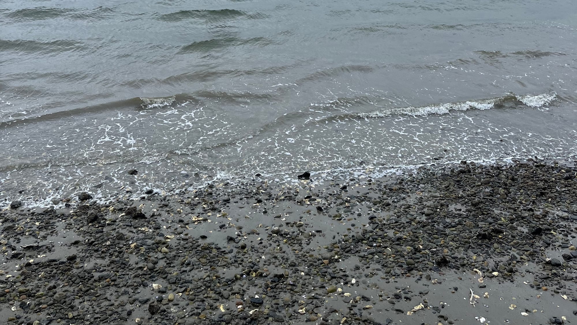 Why people work at cross-purposes & what to do about it