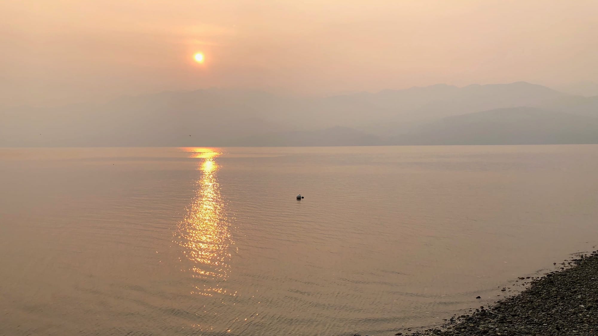 A lousy time to be a good idea