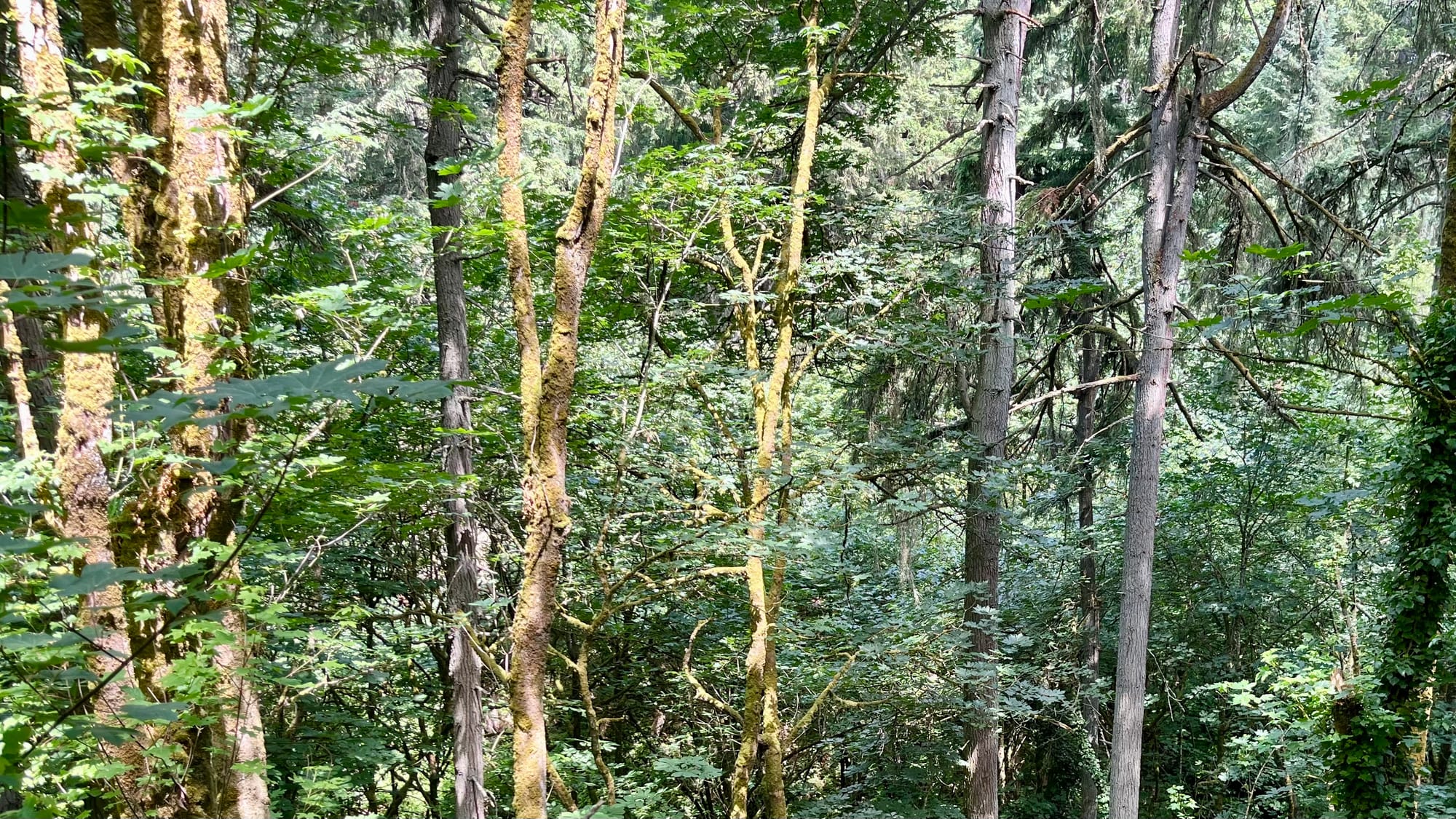 Site publication details