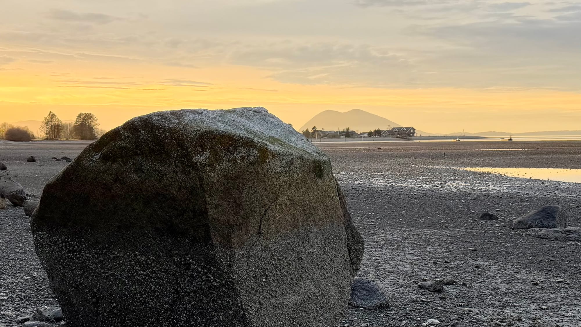 A mountain with two peaks is seen in in the distance. In the foreground, a muddy tideland at low tide with a large rock on the beach.