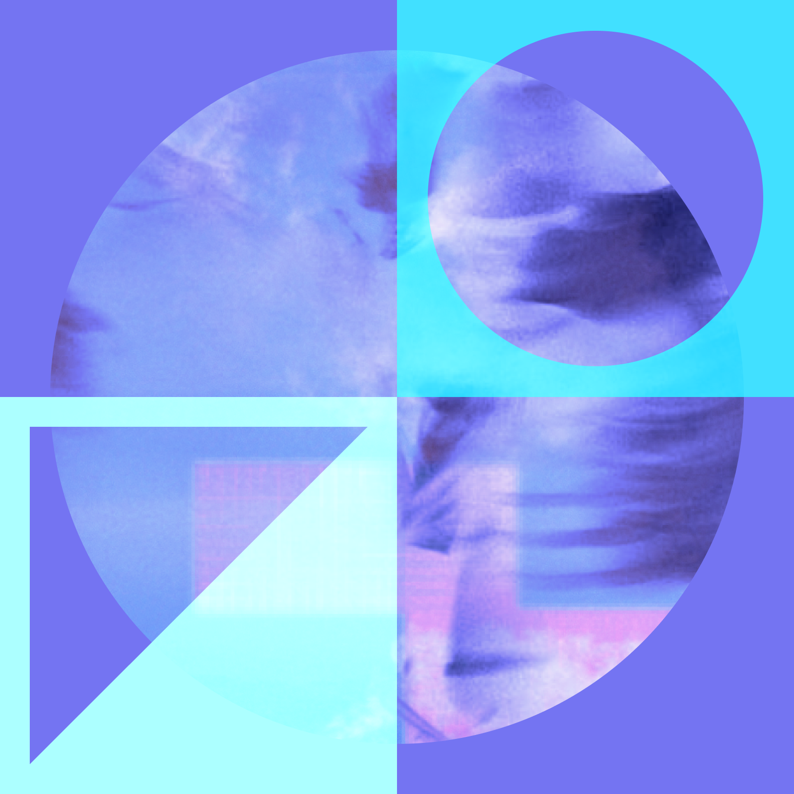 The Collective Purchasing Revolution