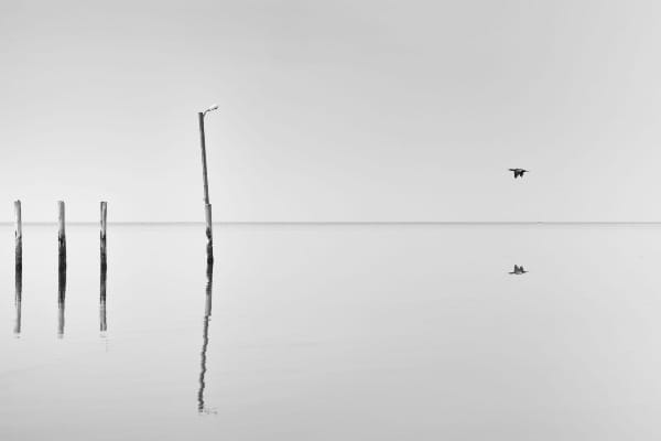 Minimalism Versus Simplicity