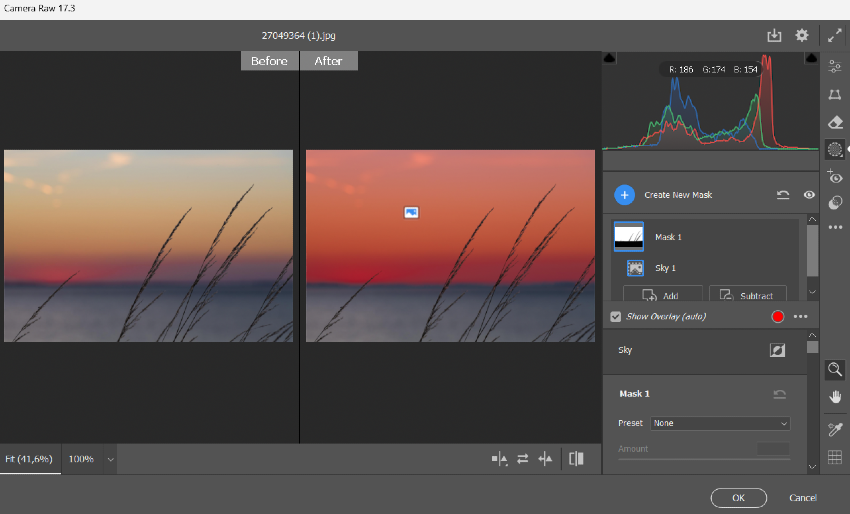 Radial and Graduated Filters