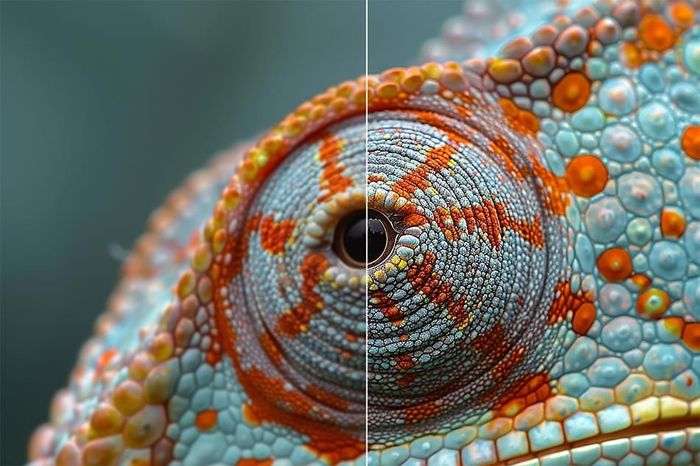 Best AI image sharpening tools for photographers