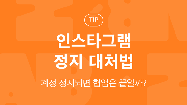 인스타그램 정지 대처법