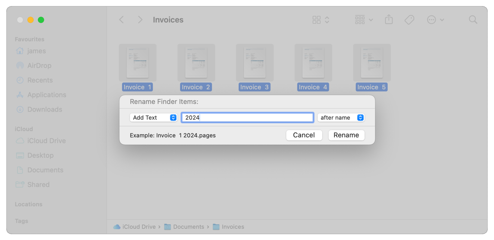 The Rename box with the Add Text option selected.