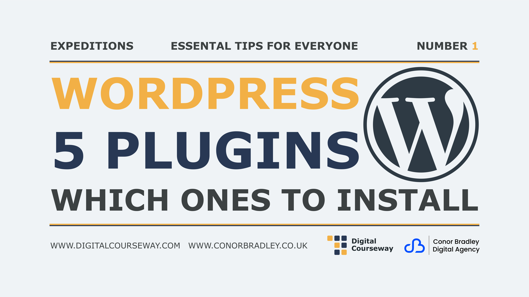 WordPress: 5 Plugins- Which Ones to Install First