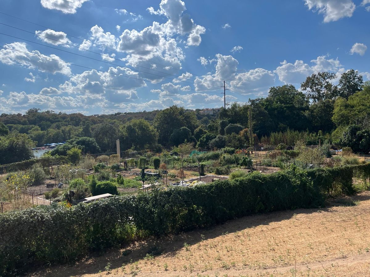 A blow to public safety, housing, health