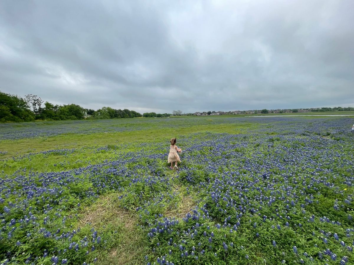 A historic day for zoning reform