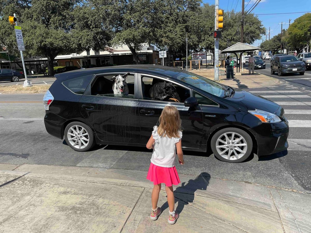 Politics in the crosswalk