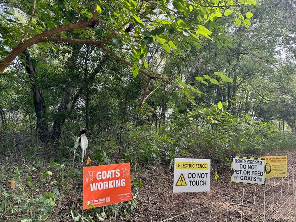 The millennial middle class is here