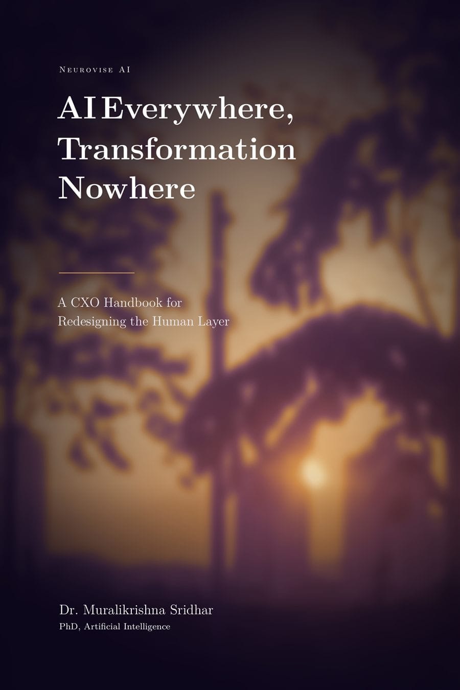 Cover of AI Everywhere, Transformation Nowhere