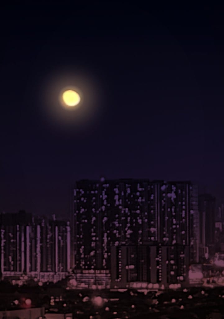 Cover of The Missing Middle