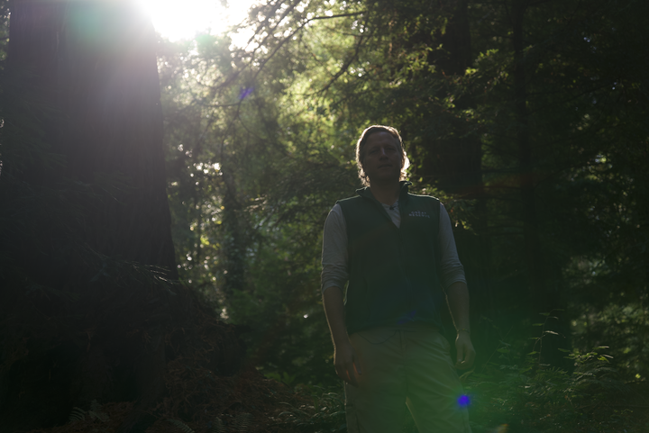 Planting 100,000 Giant Sequoias in the UK