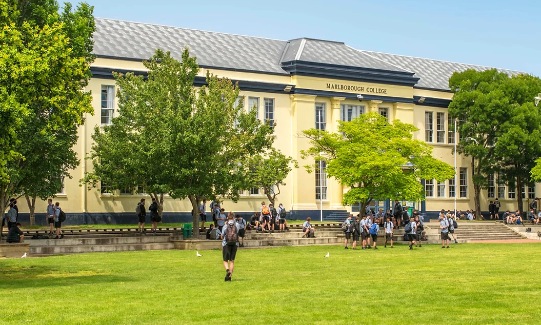 Māori Whānau Board of Trustees Representative