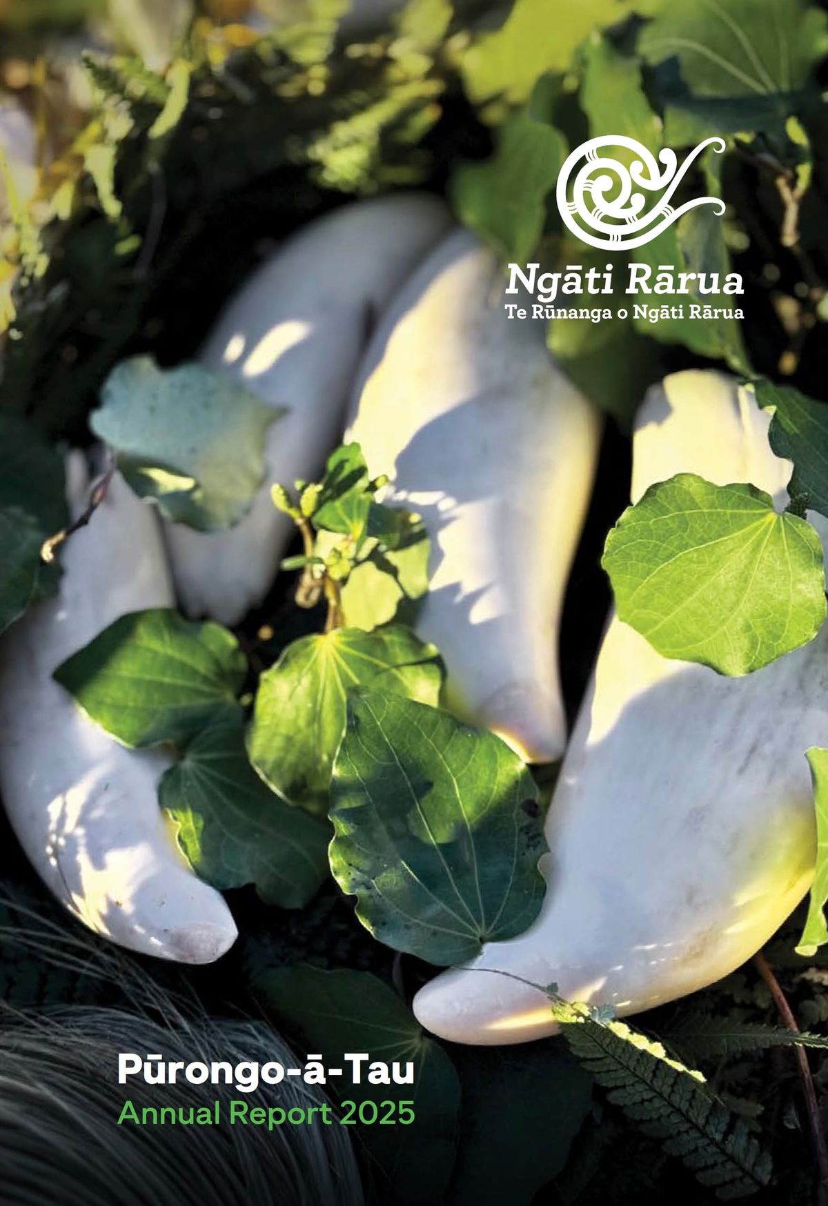 Pūrongo-ā-Tau 2025: Annual report