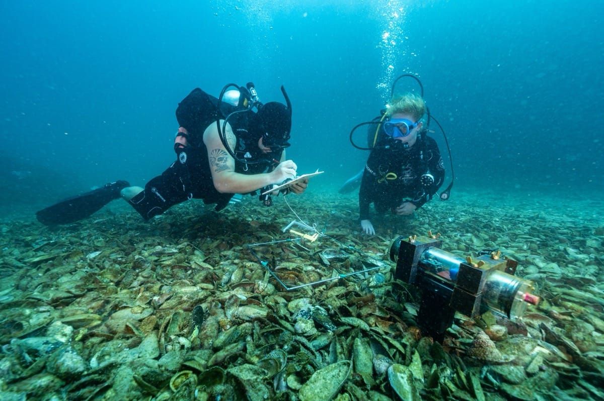 Whakawhiti kōrero mō te moana: Coastal conversations