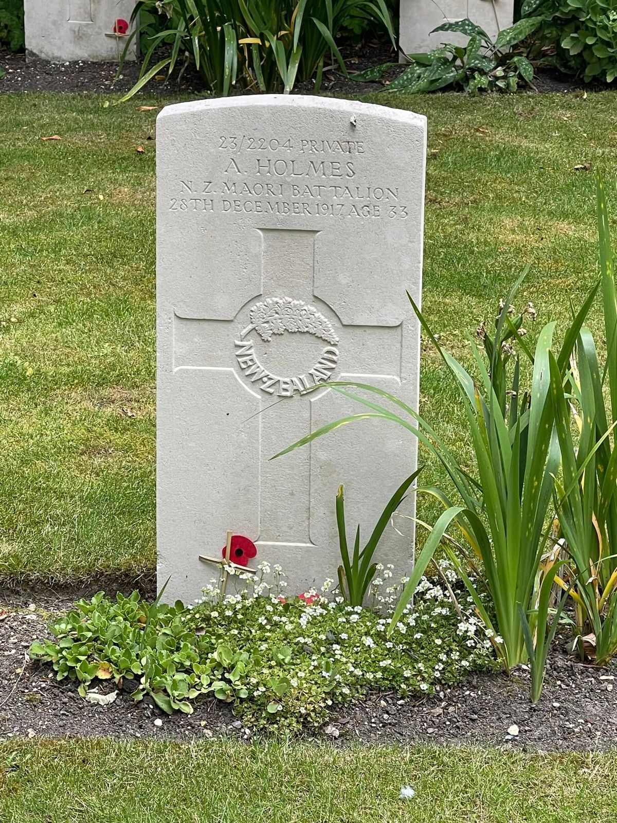 Remembering those who served, and those who fell